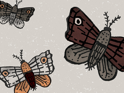 Moths fun moth poster texture