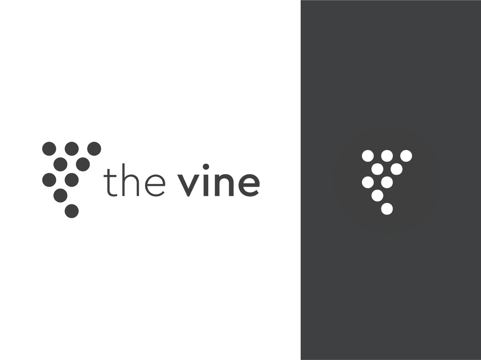 The Vine Logo Rebrand 2017 By Airam Dato On On Dribbble   Shots 02 4x 