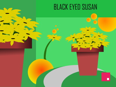 BLACK EYED SUSAN branding design illustration invision studio