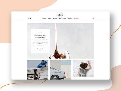 Molle - A Responsive Blog   Shop WordPress Theme