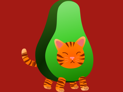 Avogato avocado cat fruits gato green orange