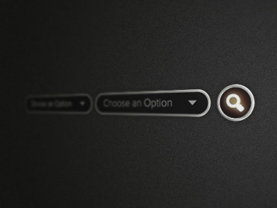 Selectbox Search UI button dropdown options search selectbox ui