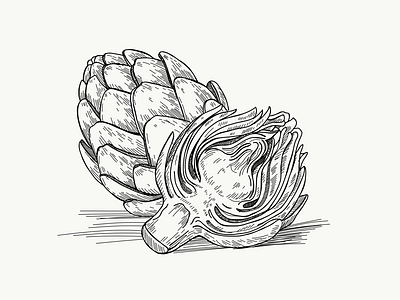 artichoke draw