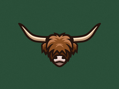 Highland Cow Illustration