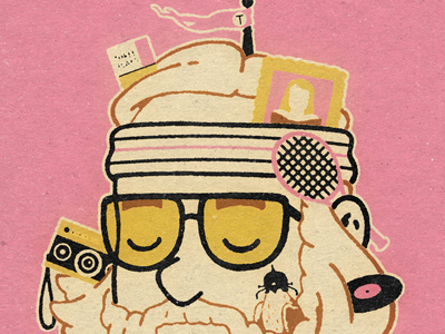 Baumer the royal tenenbaums wes anderson