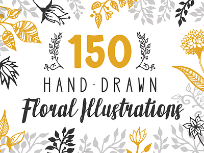 150 Hand-drawn Floral Illustrations