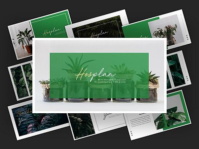 Hosplan - Minimalism Tropical Powerpoint Template art beautiful bloom blossom bright casual colorful decoration decorative flora floral flowers garden leaf like new year orchid pink plant popular