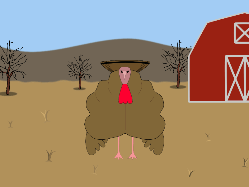 I Luv Yooo Turkey animation 2d farm love moho13 thanksgiving turkey