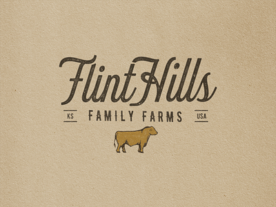 Flint Hills Family Farms beef brand and identity brand identity branding cow custom type design drawing farm illustration illustrator logo typography