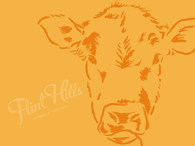 WIP Flint Hill Family Farms Branding beef brand and identity branding cow custom type design drawing farm illustation illustration illustrator logo typography