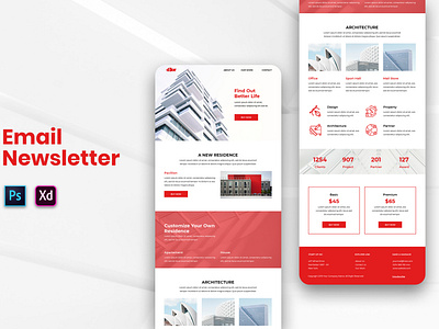 Email Newsletter Design