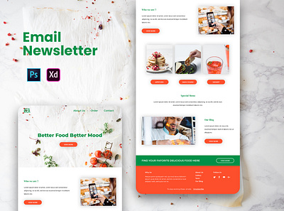 Email Newsletter Design branding design email design email marketing email newsletter email template gmail landing page design mobile app design mobile design ui design user interface website