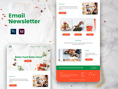 Email Newsletter Design