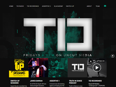 Truth In Dance | Web Design & Development branding design ui ux web