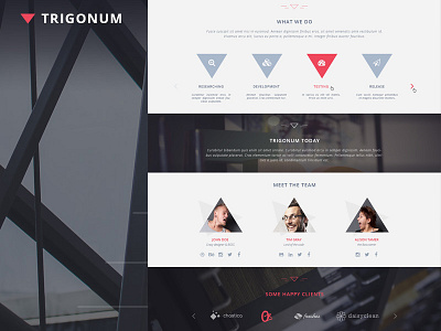 TRIGONUM free psd template