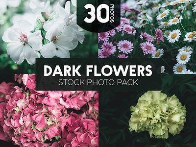 Dark Flowers dark flowers garden mate moody photo bundle stock photos