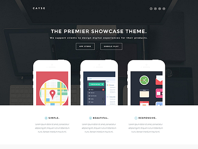 Cayse - Clean product landing page clean landing page parallax theme themeforest wordpress