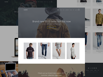 Cleayn - Finished WordPress theme