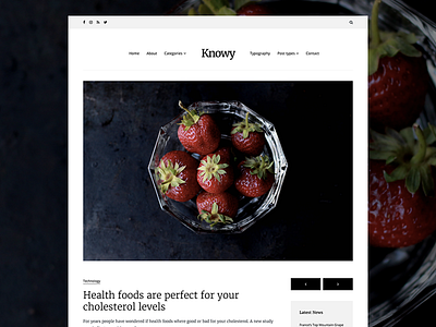 Knowy - Clean Magazine Theme (WIP) blog clean excerpt magazine minimal sans serif serif theme wordpress