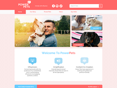 Powerpets branding design graphic design typography ui web design web design wire frame