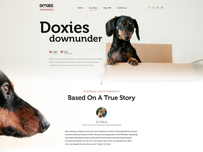 Doxies Down Under app branding design graphic design illustration logo typography ui ui web design ux vector