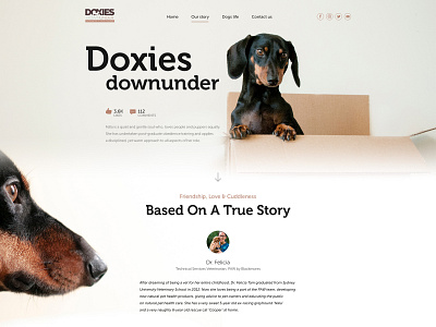 Doxies Down Under