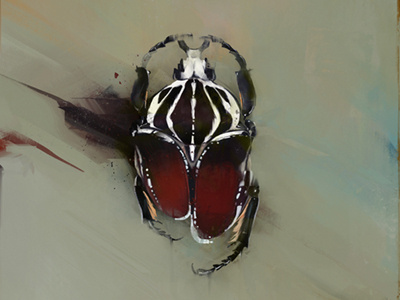 Beetle #2 art beetle cover design illustration