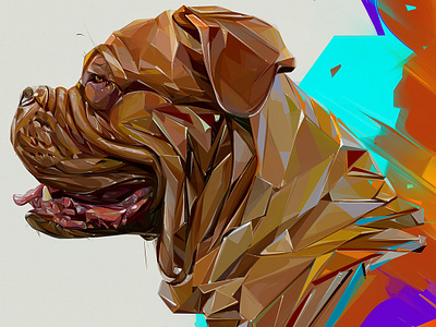 Dog animals color dog illustration portrait