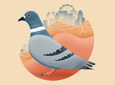 Cockney rebel bird birds city illustrated illustration pigeon