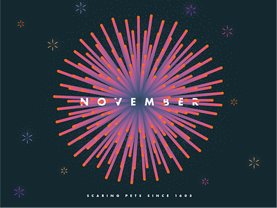 November firework fireworks illustration month november