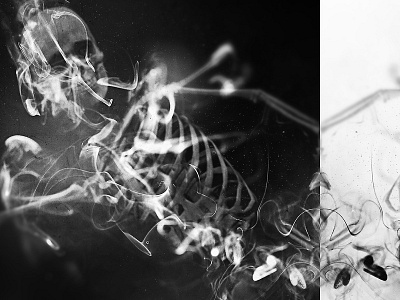 Skeleton art bones digital art photo photomanipulation photoshop skeleton