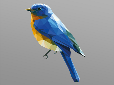 Bird Design WIP bird colour digital art illustration parrot polygon polygonal shapes