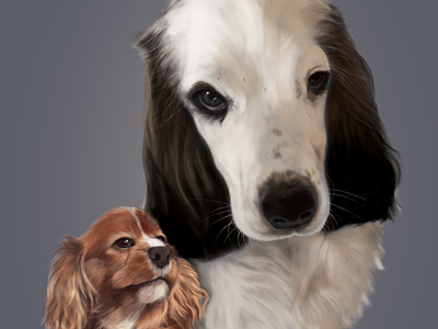 pet portrait digital art digital illustration digital painting dog dog illustration illustration pets