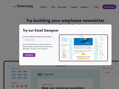 Gated Page for Bananatag leadgeneration marketing popup ui ux webdesign website wordpress