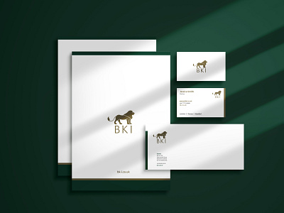 BKI-I Logo & Brand Identity art director branding creative direction design flat logo minimal photography