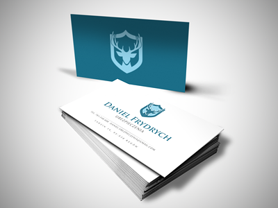 Daniel Frydrych Insurance branding business card design businesscard design digitalart logo logo design logodesign