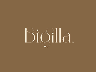 Bigilla™ Typeface branding display typeface elegant font graphic design lettering lyon nantes otf premium typography