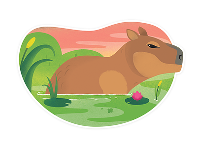 Capybara brazil capybara illustration
