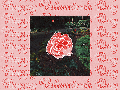 Instagram Post: Happy Valentine's Day! adobe design graphic graphicdesign icon illustrator instagram nature oregon pdx rose vector