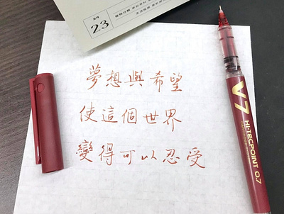 夢想與希望｜行書 chinese calligraphy 手書き文字 漢字 필기한자