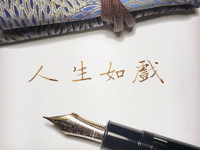 人生如戲 chinese calligraphy 手書き文字 漢字 필기한자
