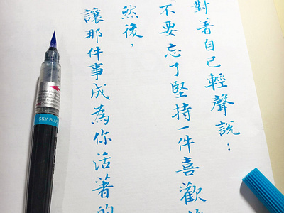 堅持｜行書 chinese calligraphy 手書き文字 漢字 필기한자