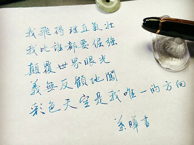 我飛得理直氣壯｜行書 chinese calligraphy