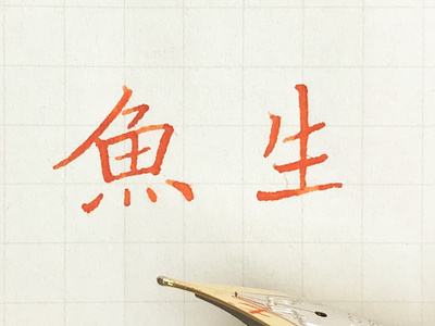 魚生｜楷書 chinese calligraphy 手書き文字 漢字 필기한자