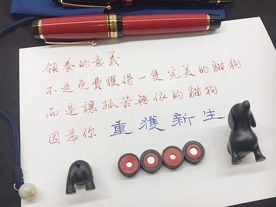 領養的意義｜行書 chinese calligraphy 手書き文字 漢字 필기한자