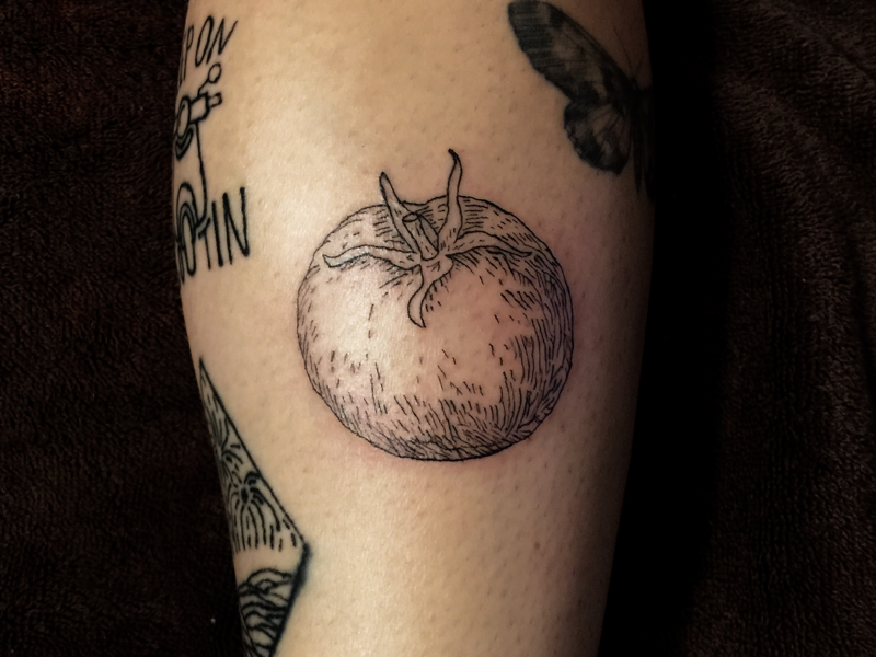 Noelle Adrienne Tattoos on Instagram Scientific illustration of hawthorn  juniper and mugwort for Samantha I love working on this placement so  much  books open May