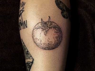 Scientific Tomato Tattoo black fruit illustration scientific tattoo tomato