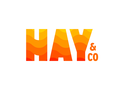 Hay And Co Concept 2 bold branding co hay illustration lettering letters logo script type waves