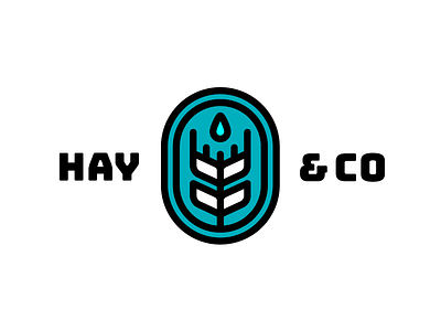 Hay And Co 3 bold branding co hay illustration lettering letters logo script type waves