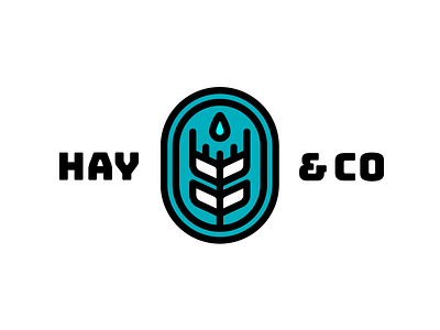 Hay And Co 3